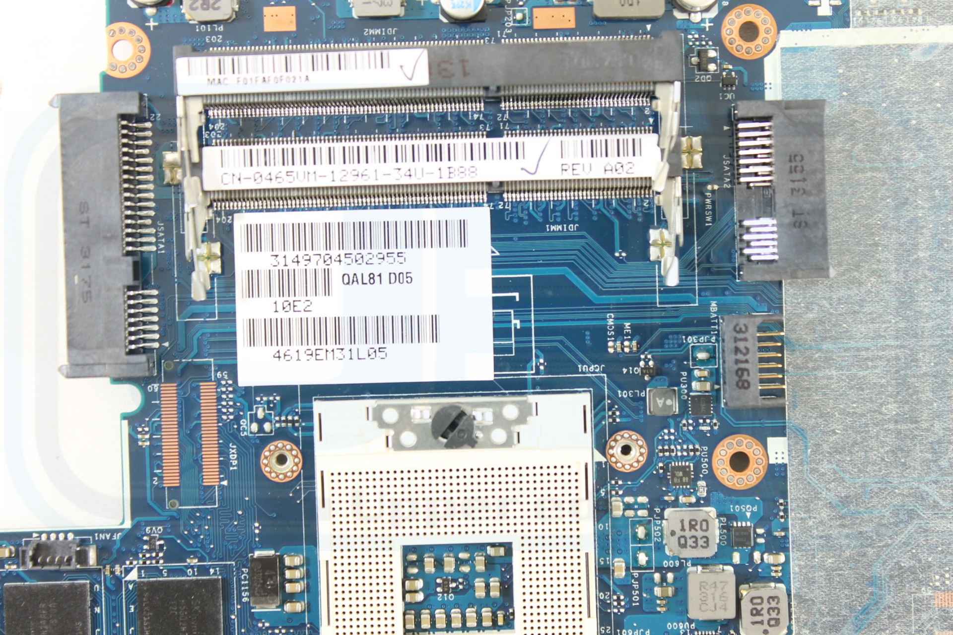 MOBO-00798.JPG