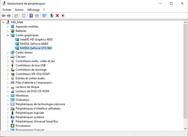 GTX 960 device manager.jpg